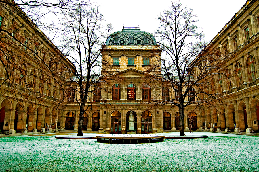 Viena University